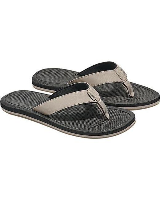 Vans Brown Nexpa Synthetic Flip-Flop for men