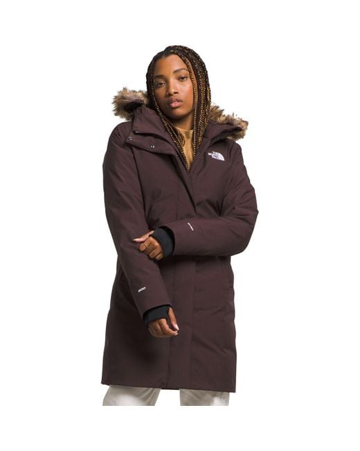 The north face top arctic down parka i