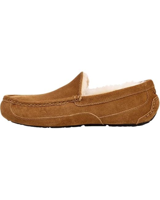 ugg ascot slipper