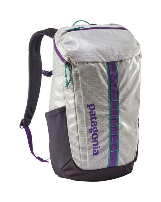 Patagonia White Black Hole 25l Backpack for men