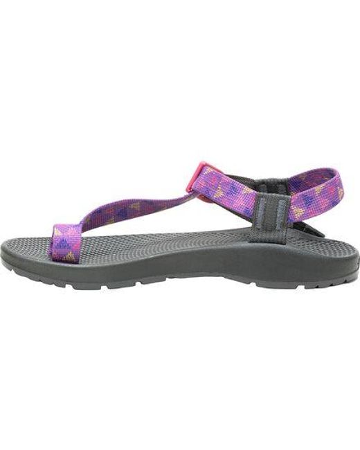Chaco Purple Bodhi Sandal