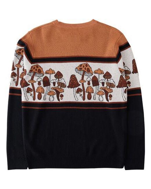 Kavu Brown Highline Sweater for men