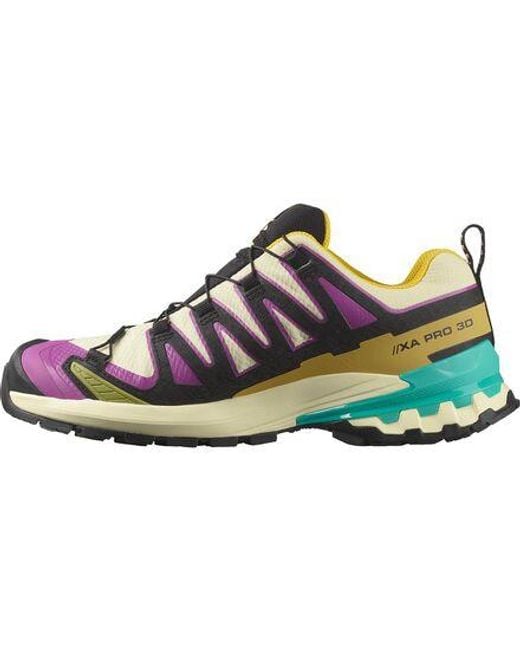 Salomon Blue Xa Pro 3D V9 Gore-Tex Trail Running Shoe