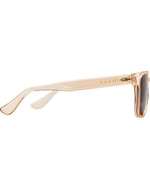 Kaenon Brown Avalon Polarized Sunglasses