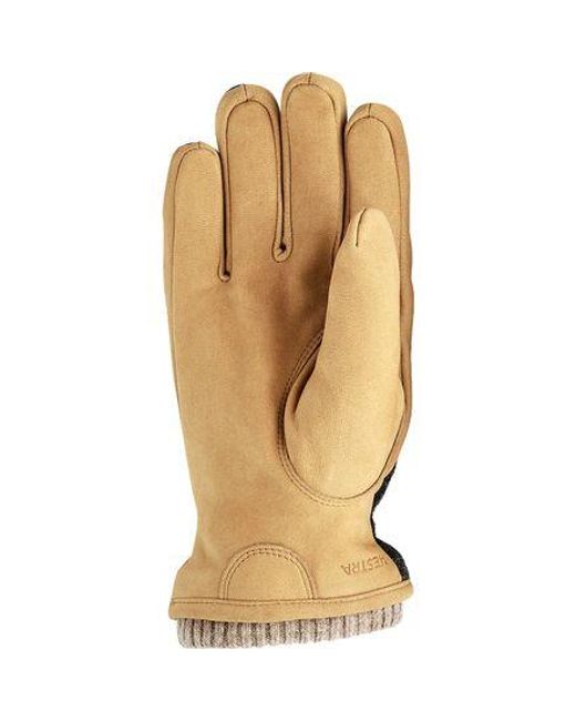 Hestra Black Noah Glove