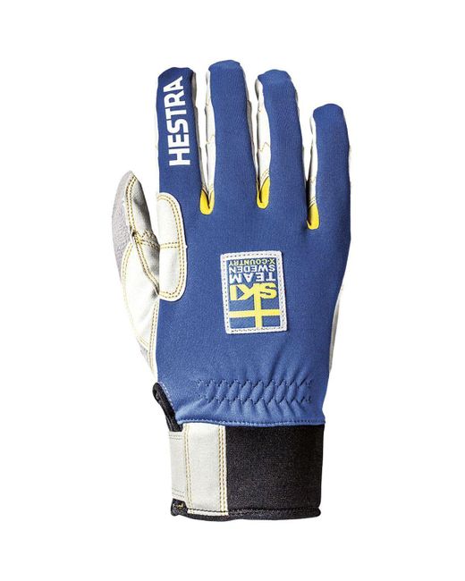 Hestra Blue Ergo Grip Windstopper Race Glove