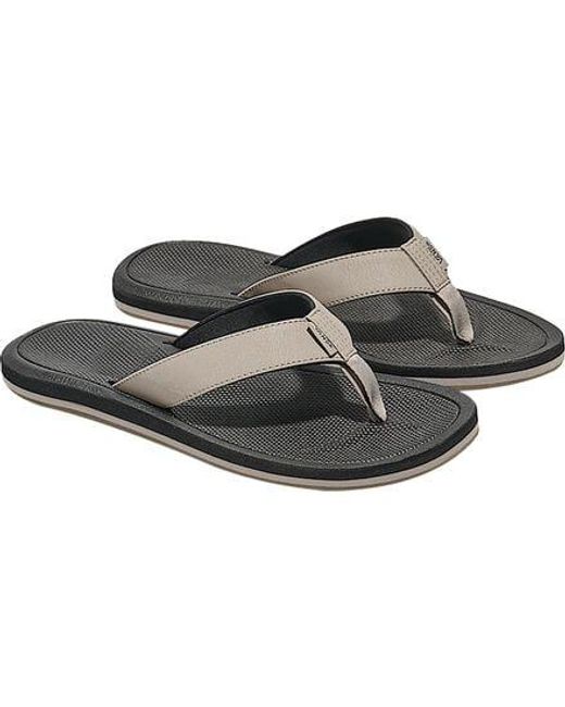 Vans Brown Nexpa Synthetic Flip-Flop for men