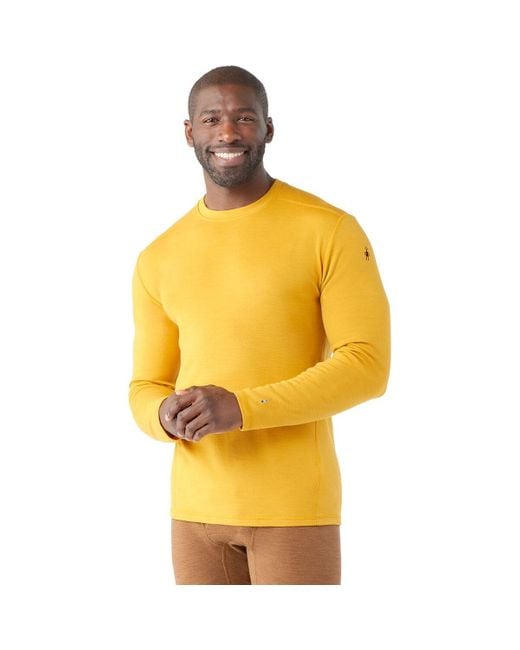 Merino top 250 smartwool