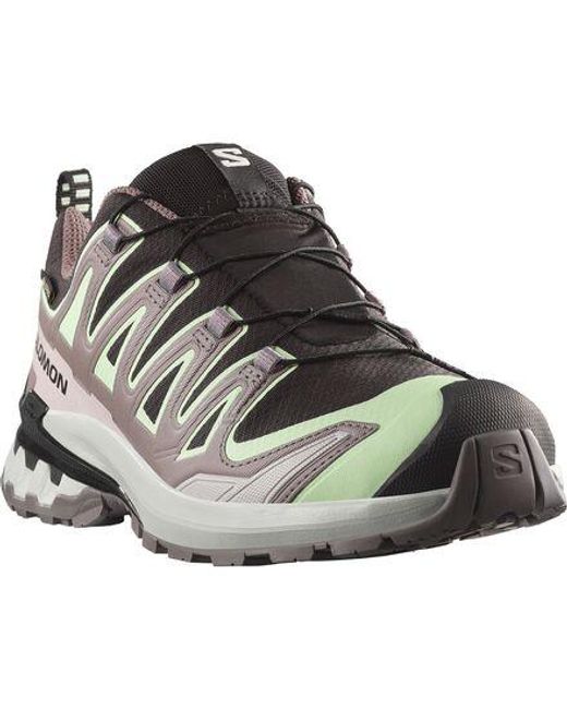 Salomon Gray Xa Pro 3D V9 Gore-Tex Trail Running Shoe