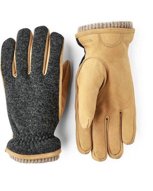 Hestra Black Noah Glove