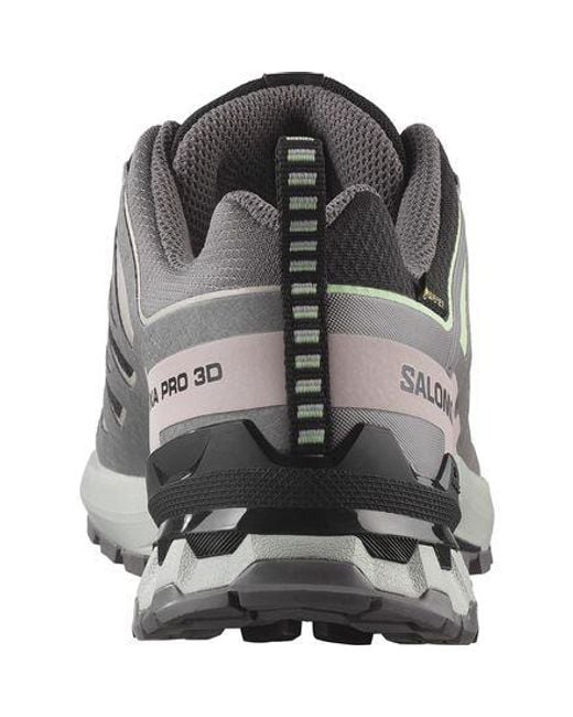 Salomon Gray Xa Pro 3D V9 Gore-Tex Trail Running Shoe