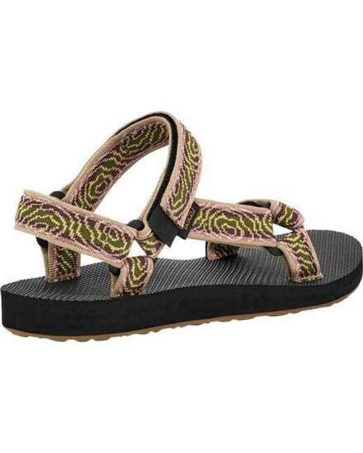 Teva Brown Original Universal Sandal