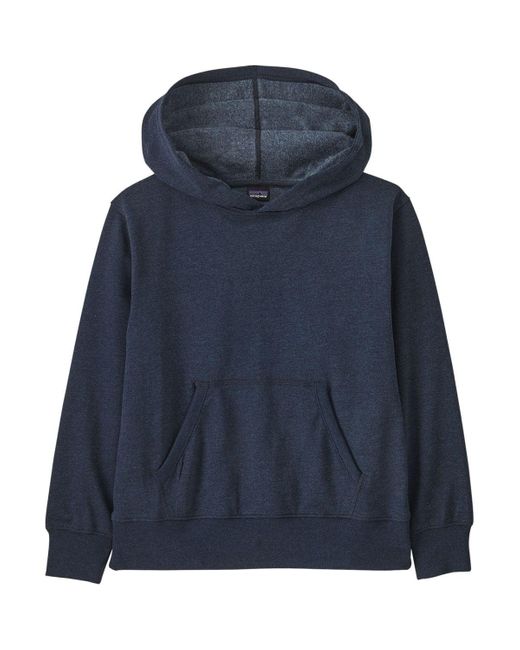 Patagonia Blue Lightweight Graphic Hooded Sweatshirt