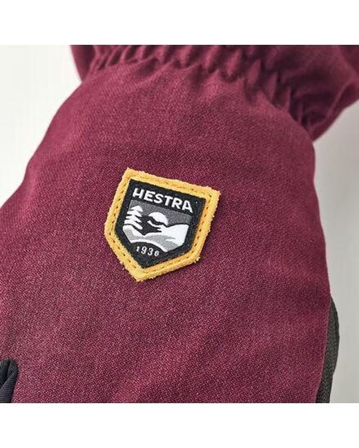 Hestra Purple Czone Mountain Glove
