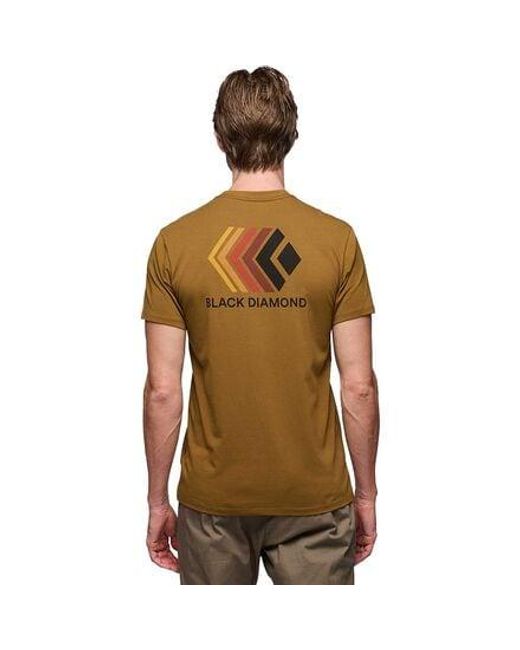 Black Diamond Brown Diamond Faded T-Shirt for men