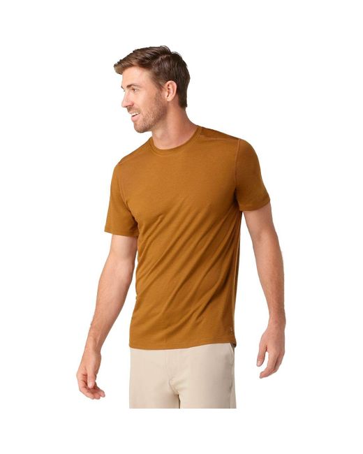 Smartwool Brown Merino Short-Sleeve T-Shirt for men