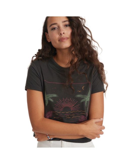 Marine Layer Crop Graphic Tshirt in Black Lyst