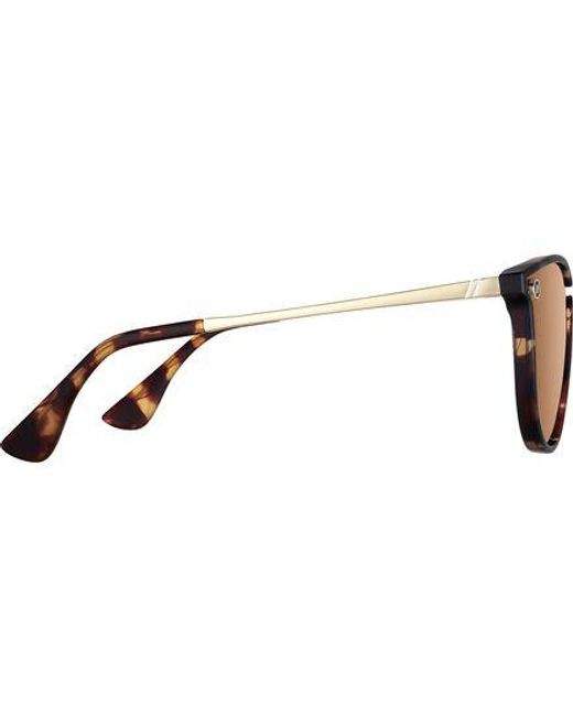 Blenders Eyewear Brown North Park X2 Polarized Sunglasses Brandy Night (Pol)