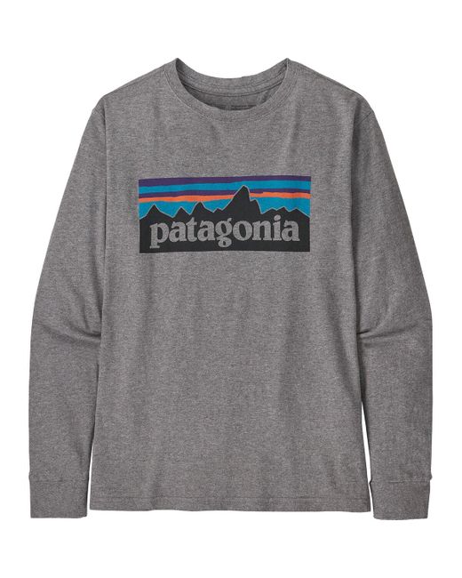 Patagonia Brown Regenerative Graphic Long-Sleeve T-Shirt