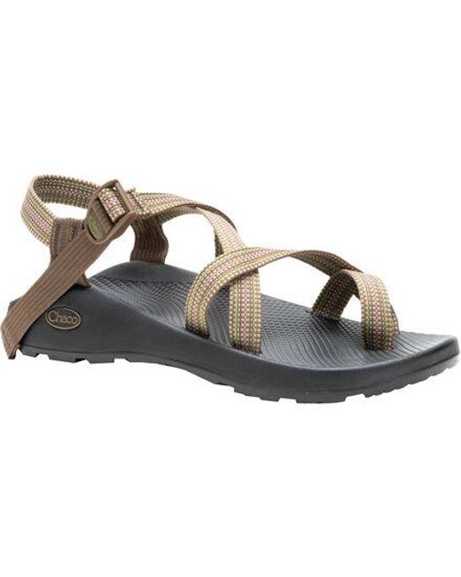 Chaco Brown Z/2 Classic Sandal for men