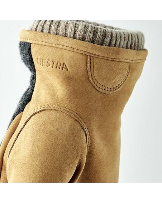 Hestra Black Noah Glove