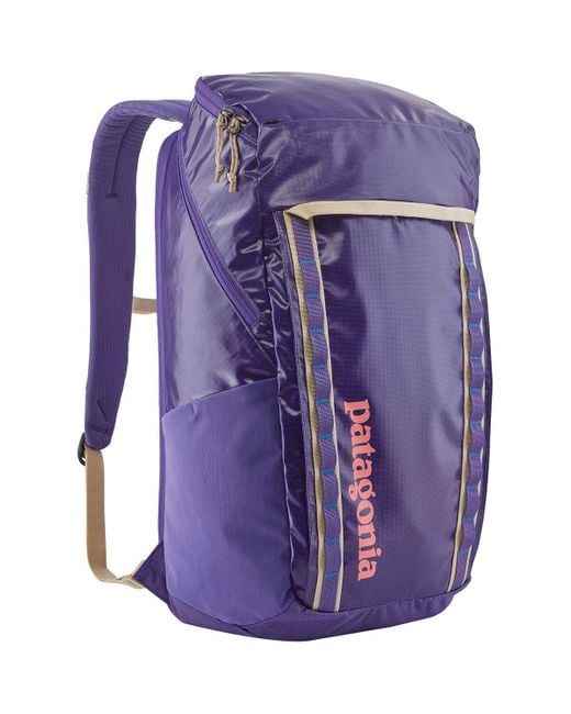 Patagonia Purple Black Hole 32l Backpack for men