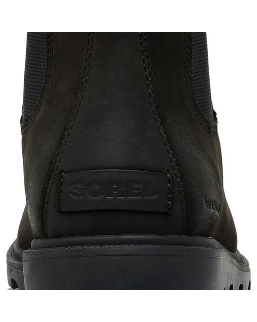 zappos sorel ainsley