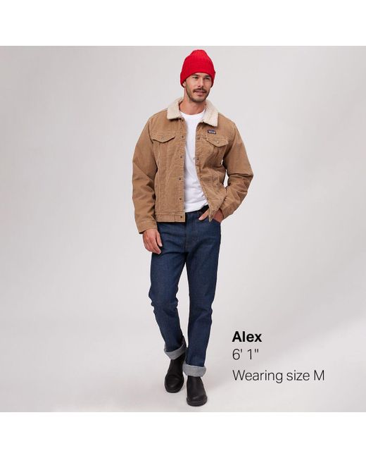 patagonia pile trucker jacket