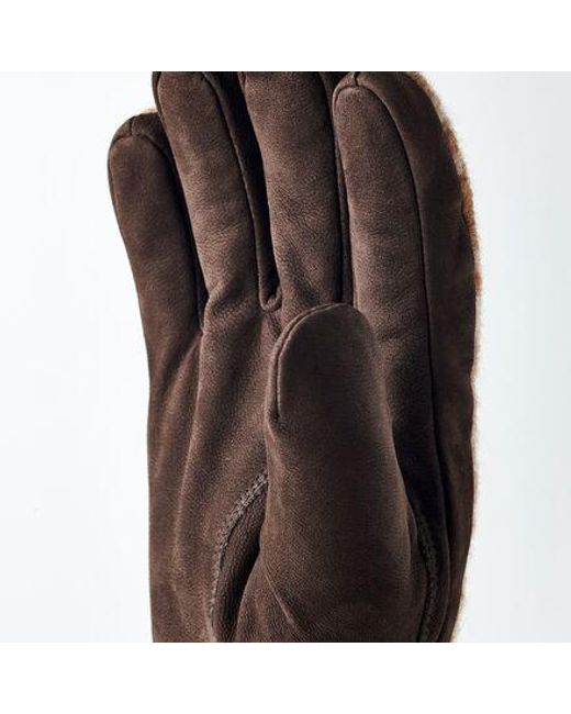 Hestra Brown Noah Glove