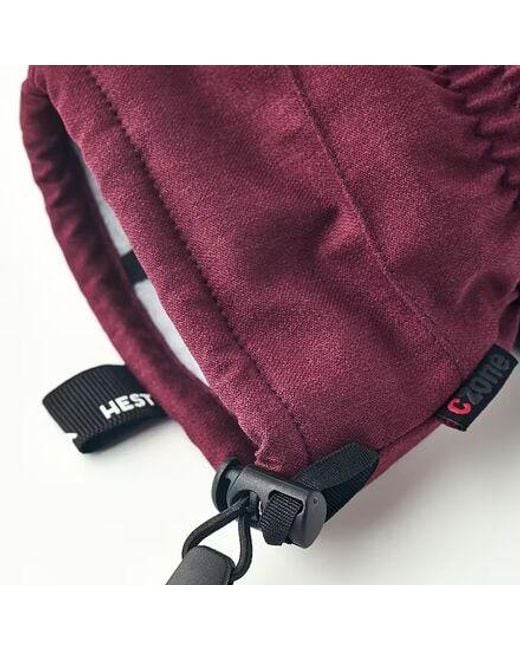 Hestra Purple Czone Mountain Glove