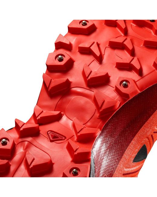 salomon spikecross 5
