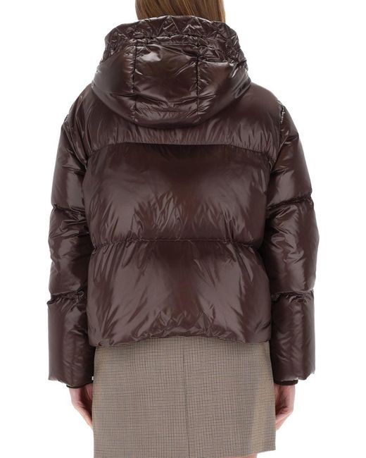 Fay Brown Hooded Puffer Coat