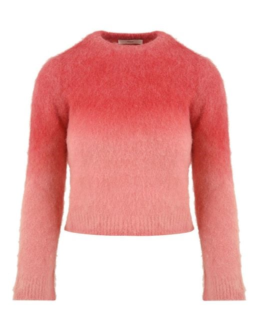 Akep Sweaters Multi Color in het Red