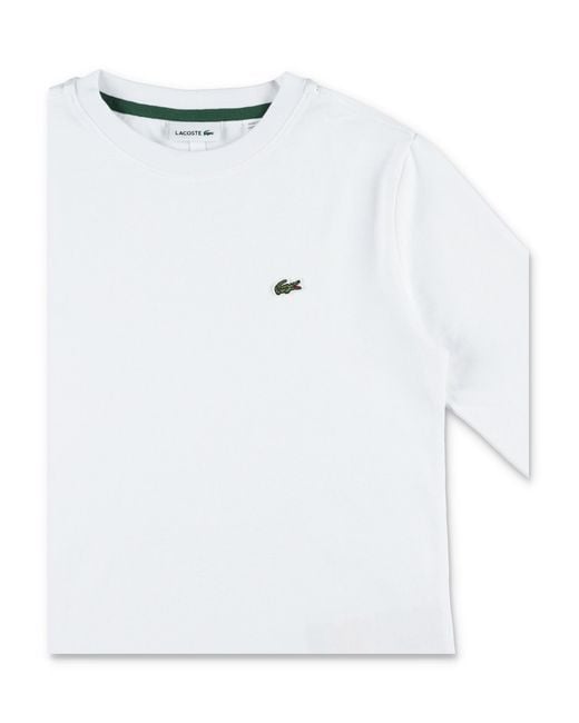 Lacoste White T Shirts And Polos