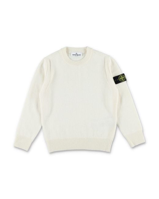 Stone Island Truien in het White