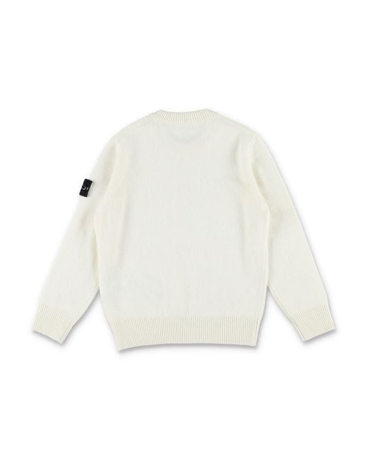 Stone Island Truien in het White