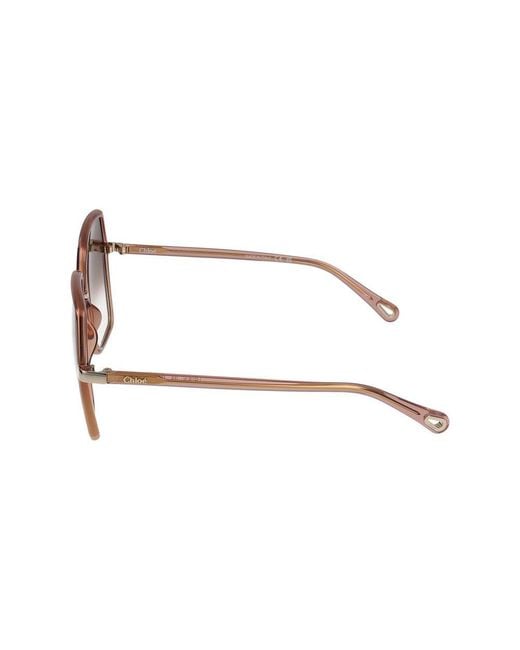 Chloé Brown Sunglasses Ch0262 S /16/140 for men
