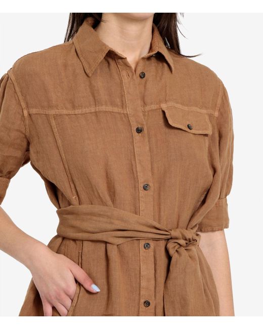 Fay Brown Dresses