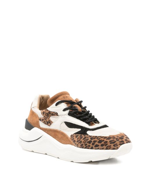 Date Multicolor Fuga Animalier