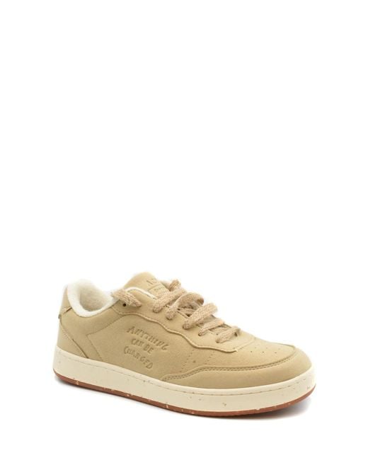 Acbc Multicolor Sneakers