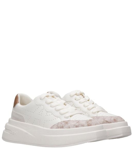 Ash White Sneakers