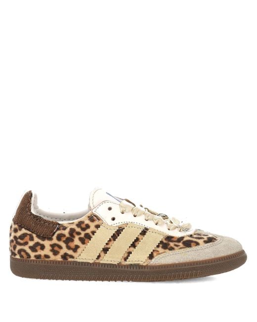 Seddy's Multicolor Samba Leopard Lynx Sneakers