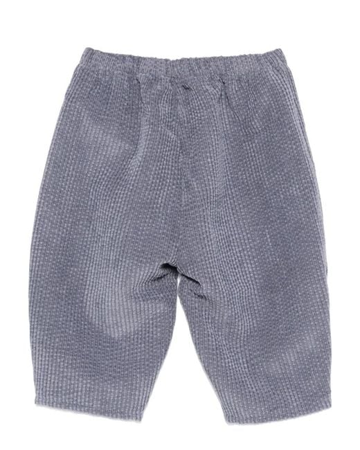 Teddy & Minou Blue Pants