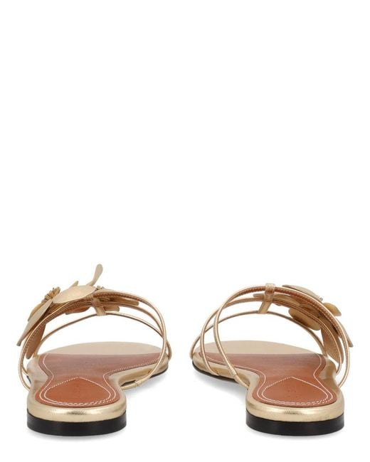 Zimmermann Natural Leather Flat