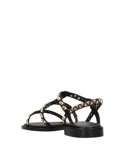 Ash Brown Sandals