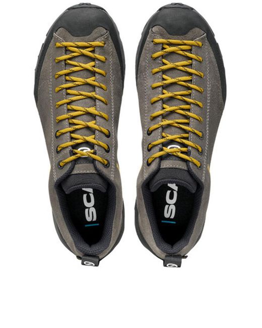 SCARPA Brown Mojito Trail Gtx