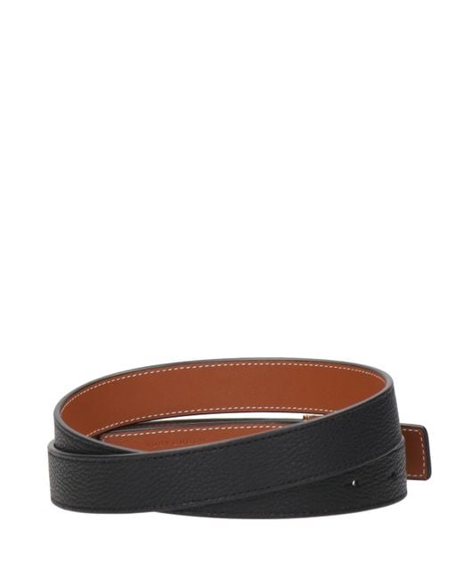 Tory Burch Black Belts