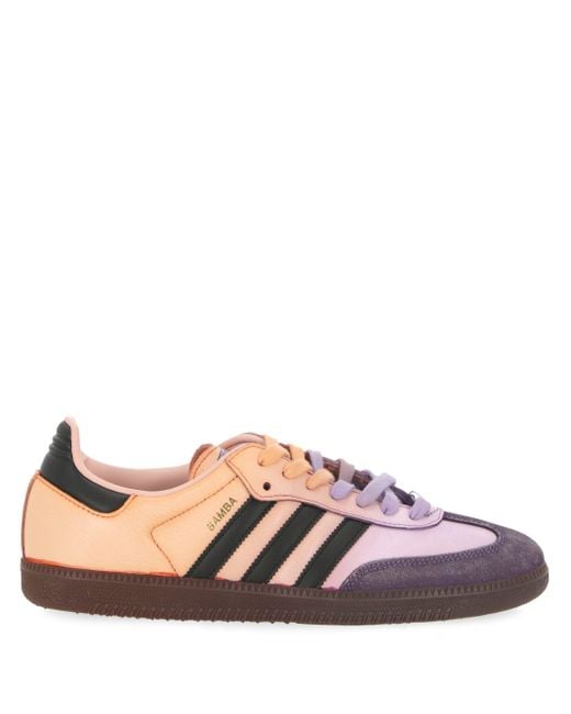 Samba 2 Sneaker Tintura di Seddy's in Brown