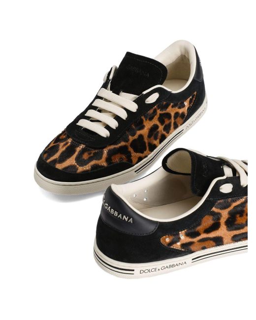 Dolce & Gabbana Black Leichte Saint Tropez Sneakers Mit Leo-Print