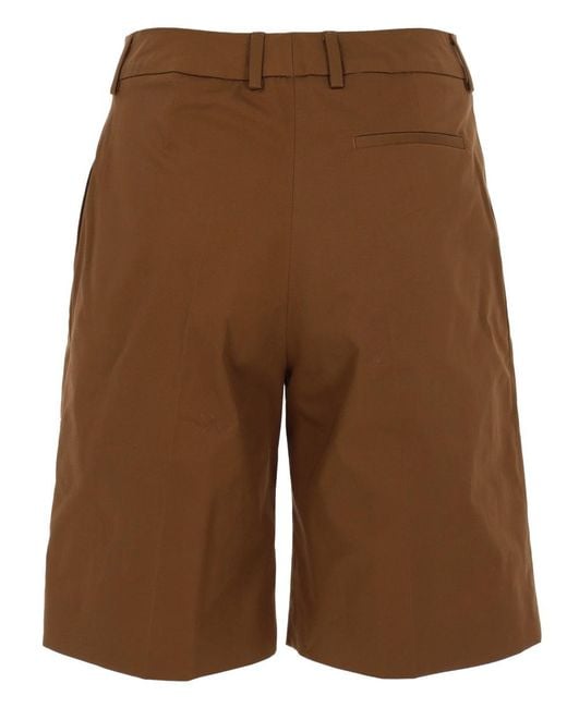 PT Torino Brown Classic Shorts